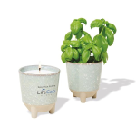 Modern Sprout Glow & Grow Live Well Gift Set